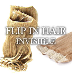 Extensions Cheveux Flip In Hair